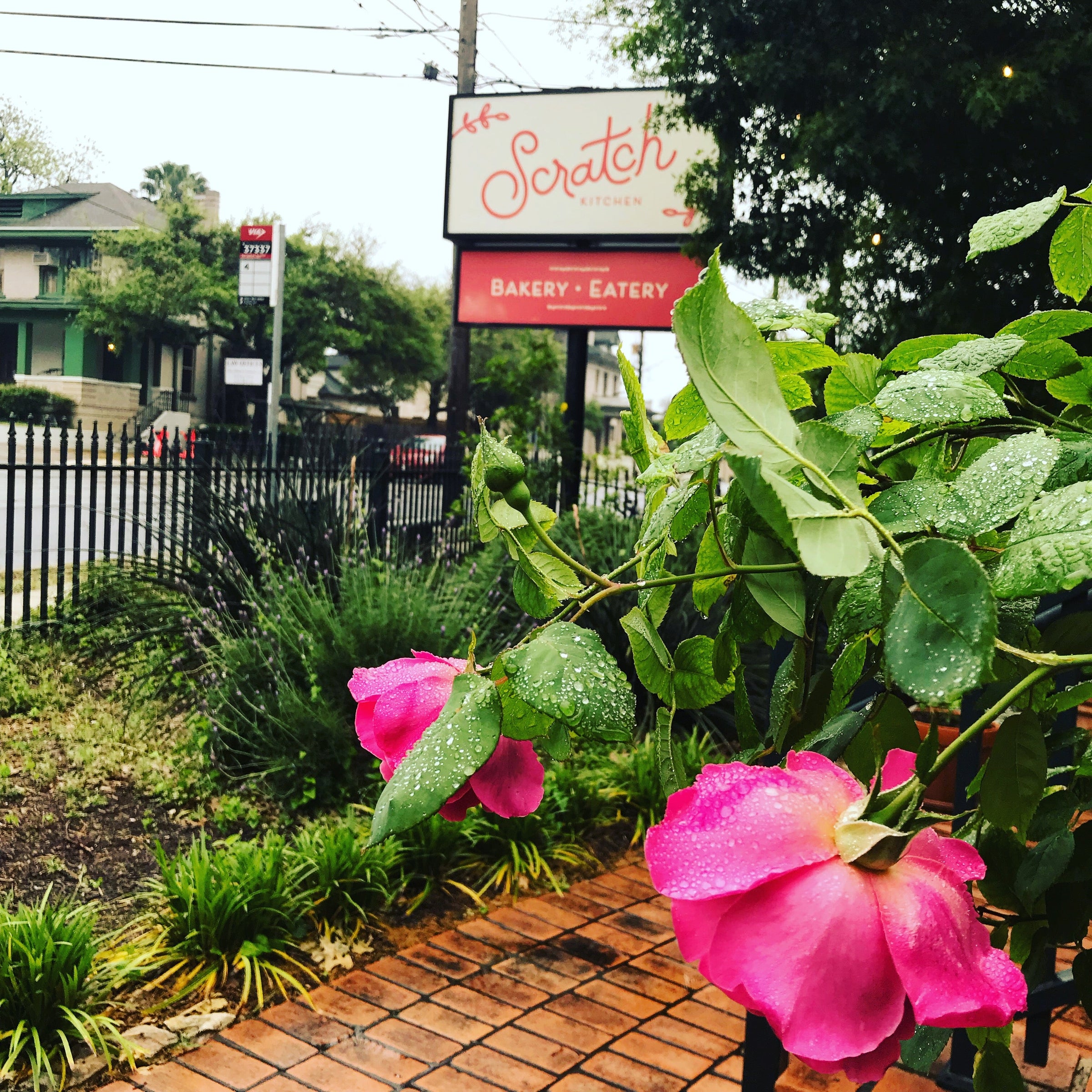 Scratch Kitchen offers takeout, delivery, and easy online ordering ...